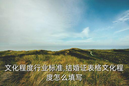 表格文化程度行业标准,结婚证表格文化程度怎么填写