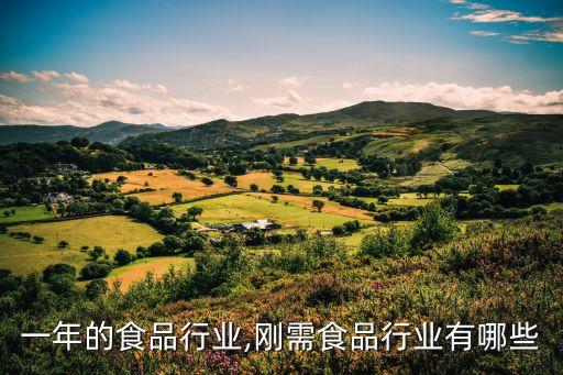 刚建一年的食品行业,刚需食品行业有哪些