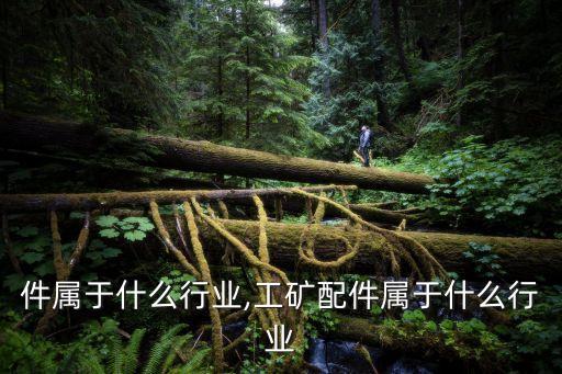 车配件属于什么行业,工矿配件属于什么行业
