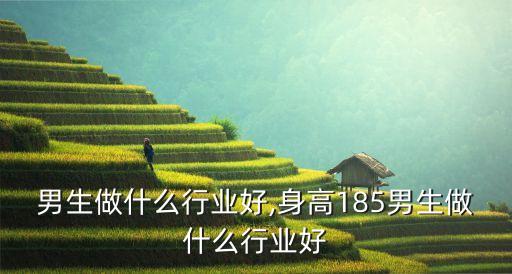 现在男生做什么行业好,身高185男生做什么行业好