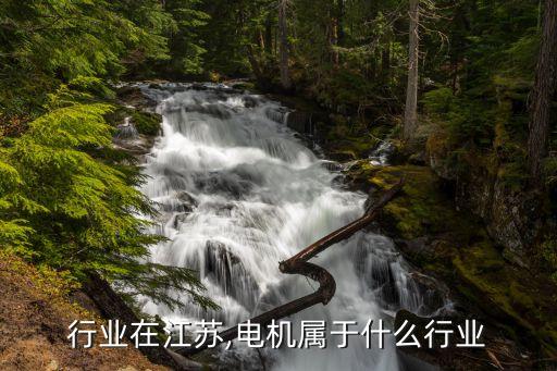 电机行业在江苏,电机属于什么行业