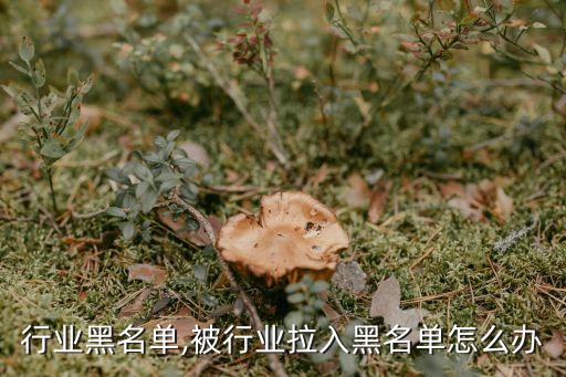 深圳行业黑名单,被行业拉入黑名单怎么办