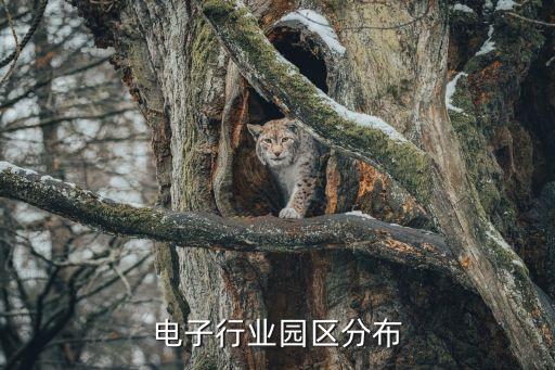 北京电子行业园区分布