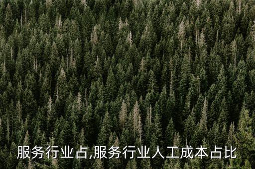 全国服务行业占,服务行业人工成本占比