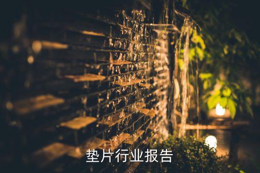 紫铜垫片行业报告