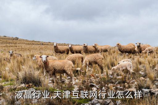天津液晶行业,天津互联网行业怎么样