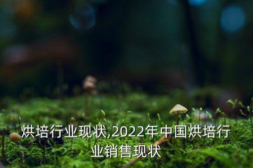 私房烘培行业现状,2022年中国烘培行业销售现状