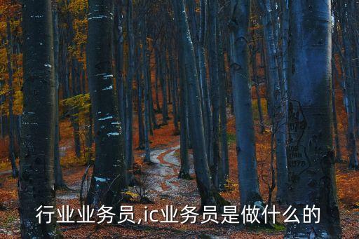 ic行业业务员,ic业务员是做什么的