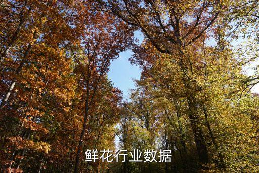 四川鲜花行业数据