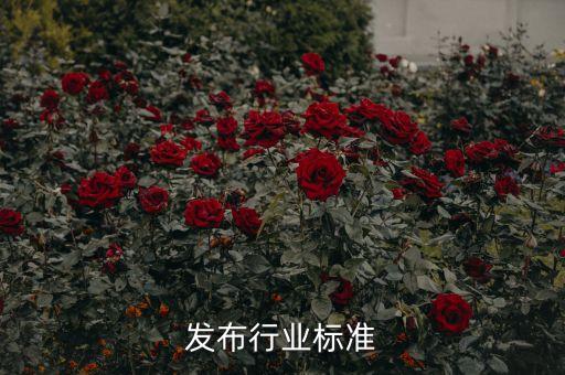 信息发布行业标准