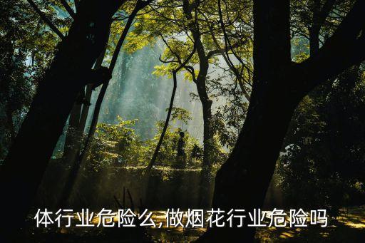 做气体行业危险么,做烟花行业危险吗