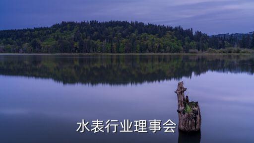 智能水表行业理事会