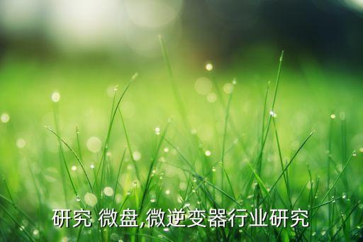 行业研究 微盘,微逆变器行业研究