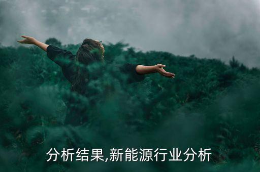 行业分析结果,新能源行业分析