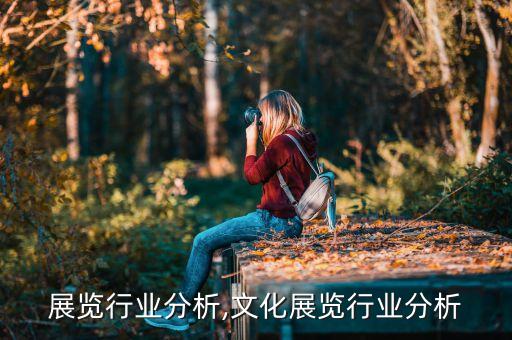 玉石展览行业分析,文化展览行业分析