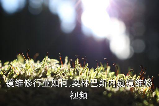 内窥镜维修行业如何,奥林巴斯内窥镜维修视频