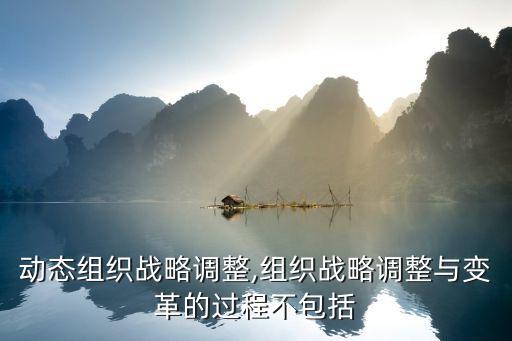 行业动态组织战略调整,组织战略调整与变革的过程不包括