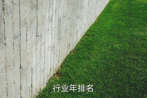 锂电行业年排名