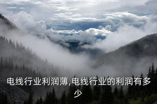 汽车电线行业利润薄,电线行业的利润有多少