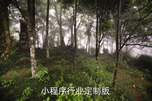 大理小程序行业定制版