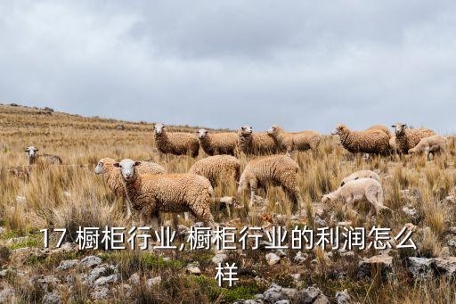 2017 橱柜行业,橱柜行业的利润怎么样