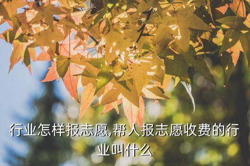 建造行业怎样报志愿,帮人报志愿收费的行业叫什么