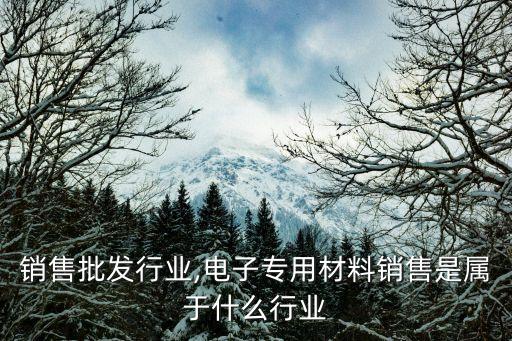 电子销售批发行业,电子专用材料销售是属于什么行业