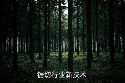 国外锯切行业新技术