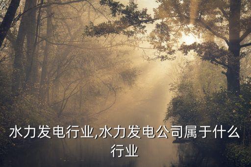 江西水力发电行业,水力发电公司属于什么行业