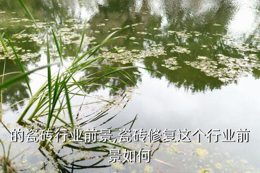 中国的瓷砖行业前景,瓷砖修复这个行业前景如何