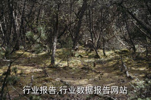山寨行业报告,行业数据报告网站