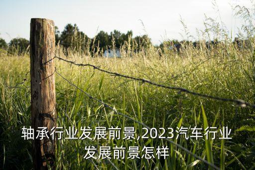 汽车轴承行业发展前景,2023汽车行业发展前景怎样