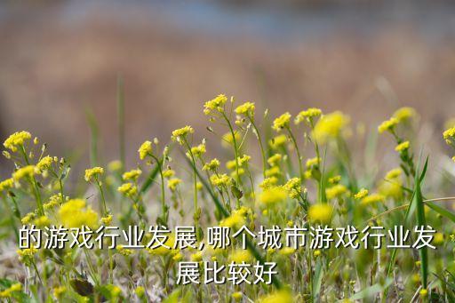 国内的游戏行业发展,哪个城市游戏行业发展比较好