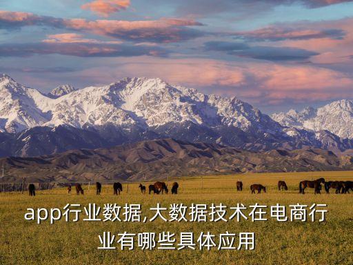 电商app行业数据,大数据技术在电商行业有哪些具体应用