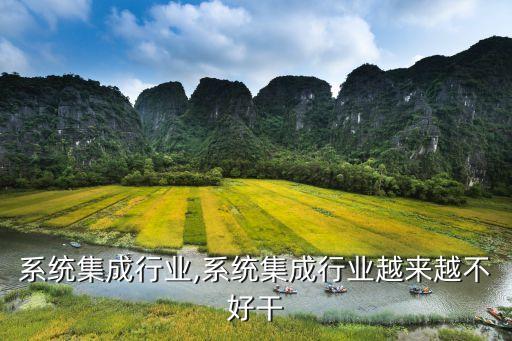 软件系统集成行业,系统集成行业越来越不好干