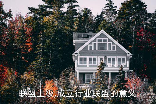 行业联盟上级,成立行业联盟的意义