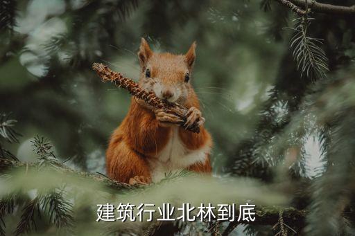 在大建筑行业北林到底