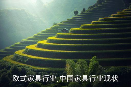中国欧式家具行业,中国家具行业现状