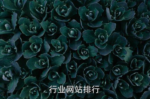 珠宝行业网站排行