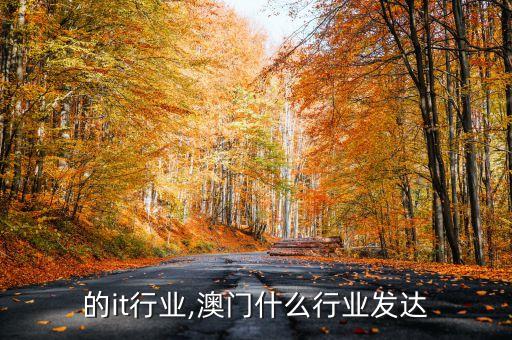 澳门的it行业,澳门什么行业发达