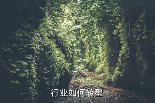 传统行业如何转型
