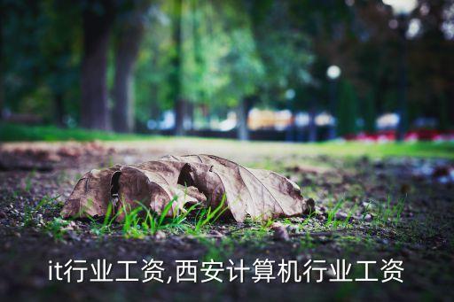 西安it行业工资,西安计算机行业工资