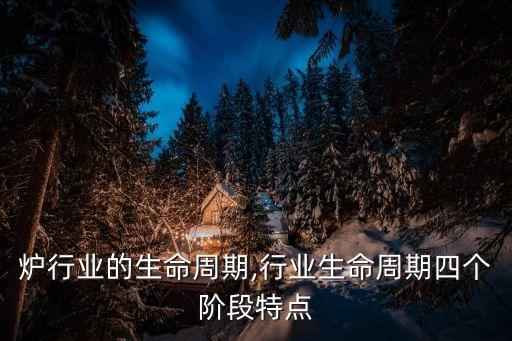 微波炉行业的生命周期,行业生命周期四个阶段特点