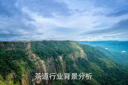 茶艺茶道行业背景分析