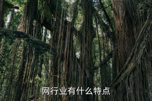 互联网行业有什么特点