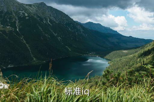 行业标准iq