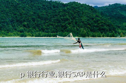 sap 银行行业,银行SAP是什么