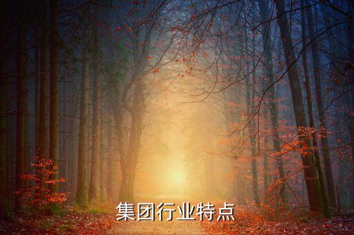 百盛集团行业特点