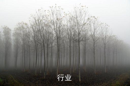 声卡行业