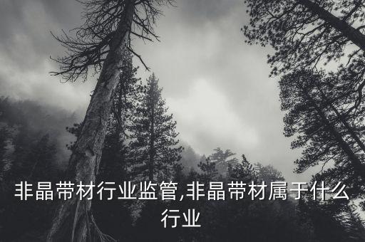 中国非晶带材行业监管,非晶带材属于什么行业